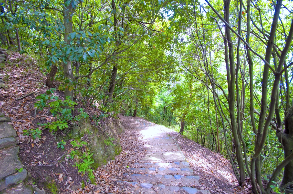 五月山公園