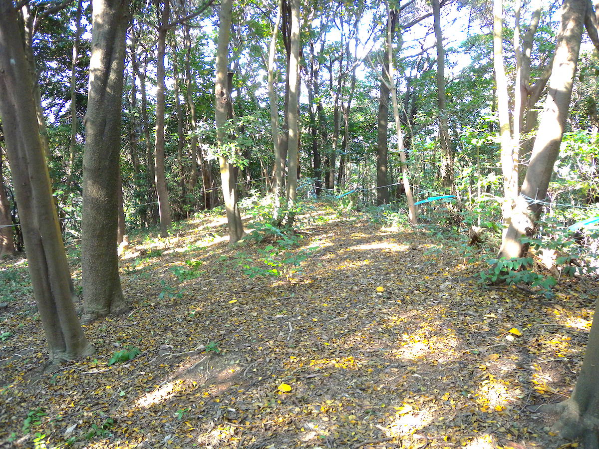 西陵古墳