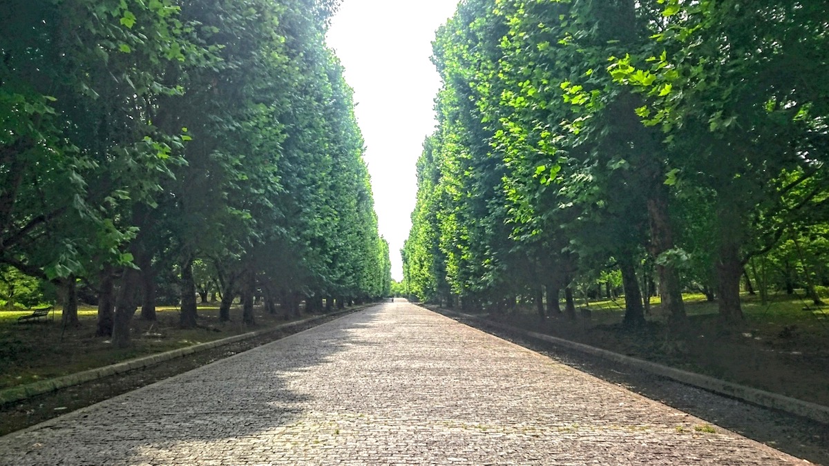 万博記念公園