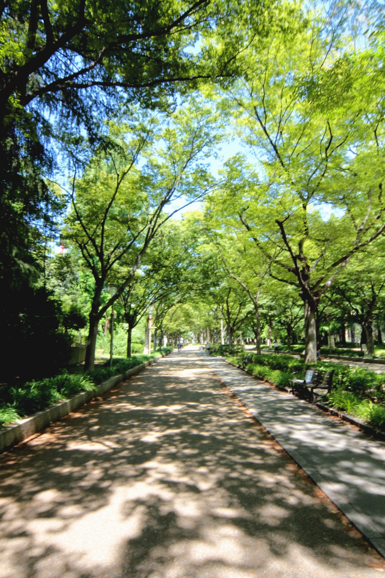 靱公園