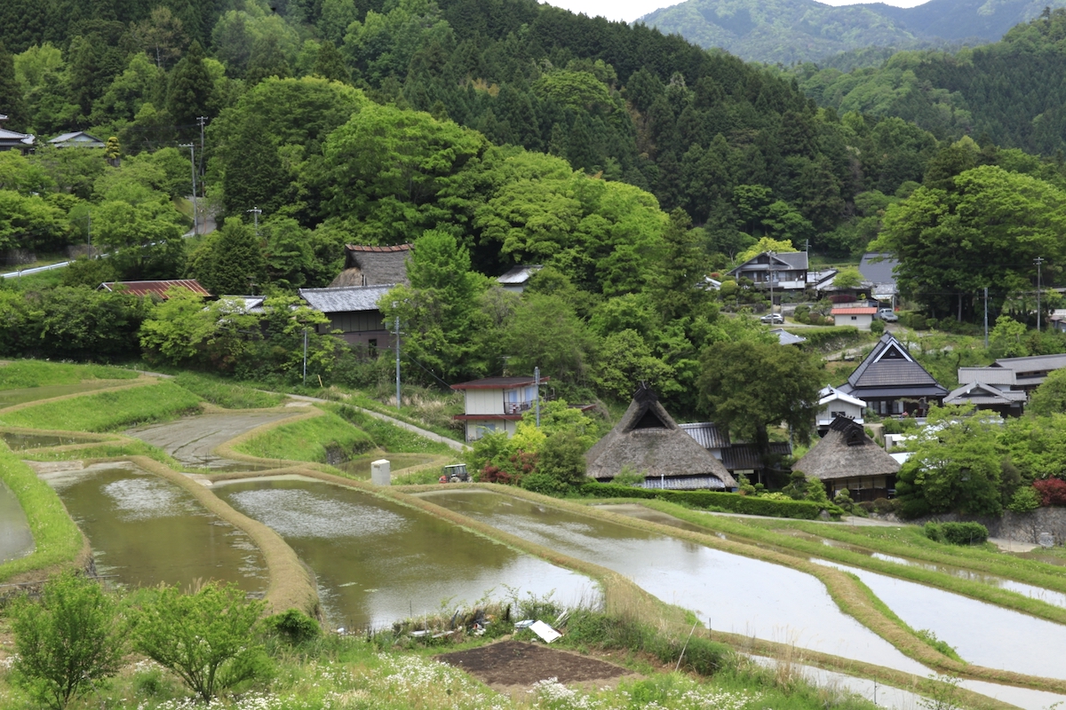 長谷の棚田