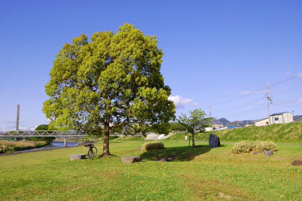 石川河川公園