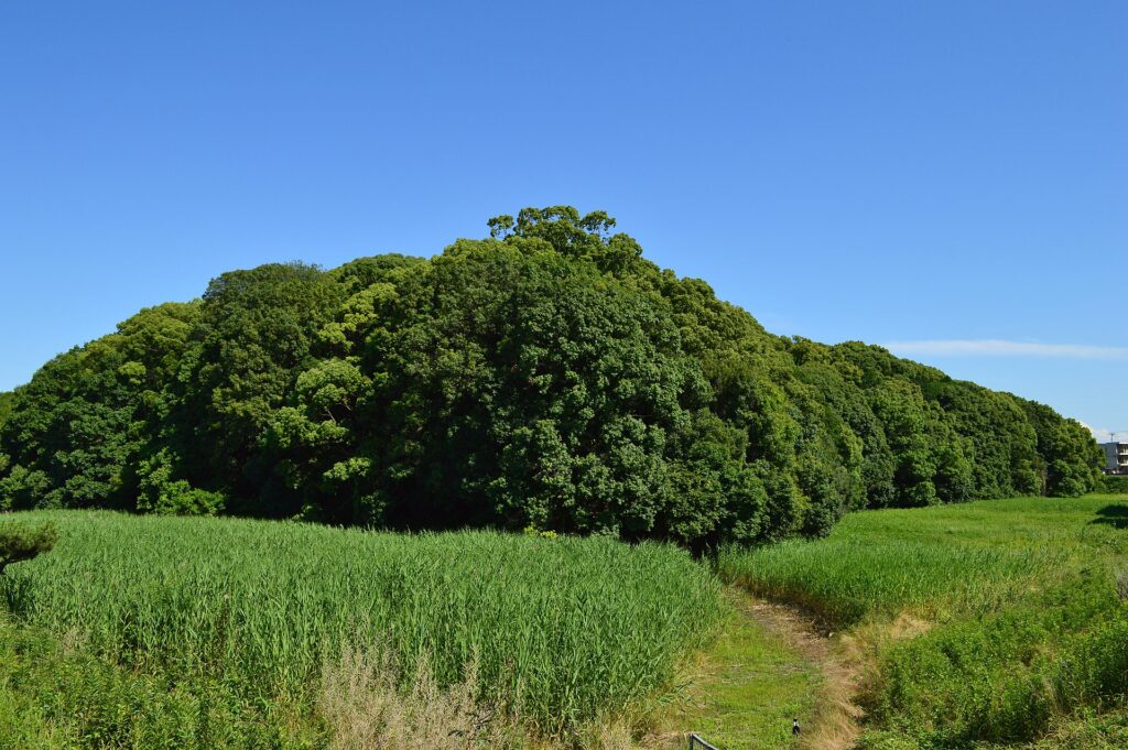 市野山古墳