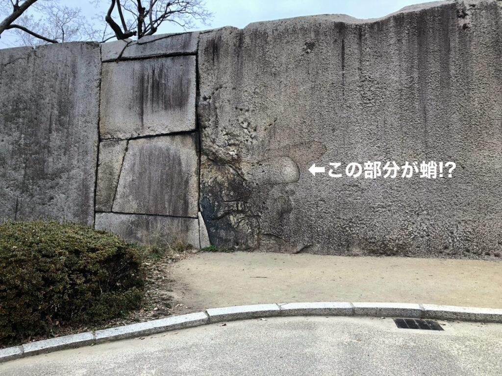 大阪城公園・蛸石
