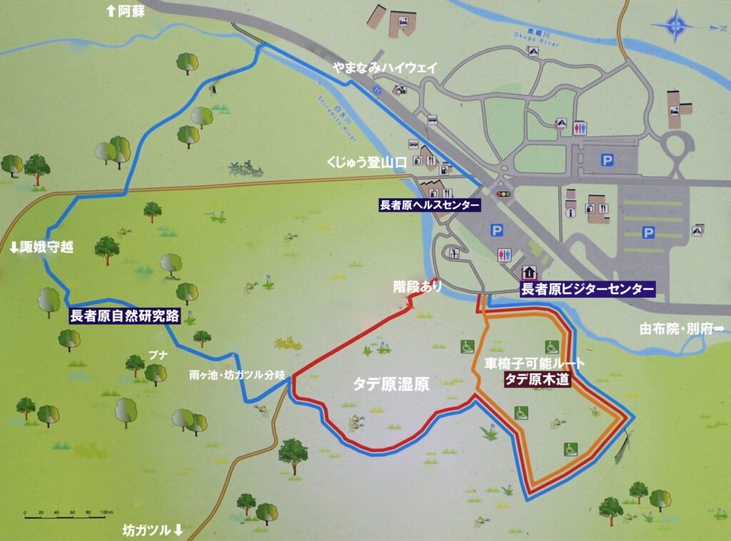 タデ原湿原
