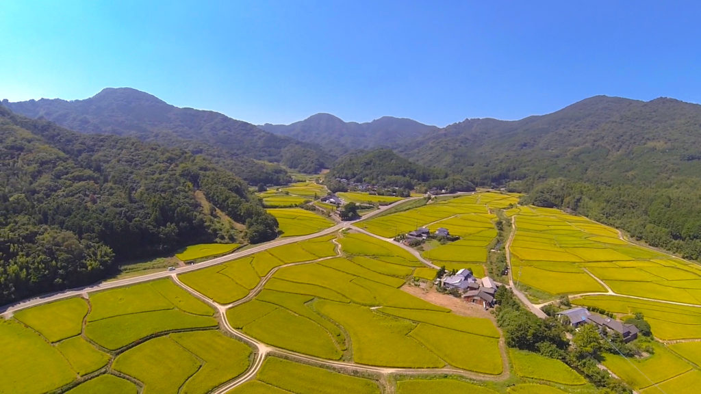 田染荘
