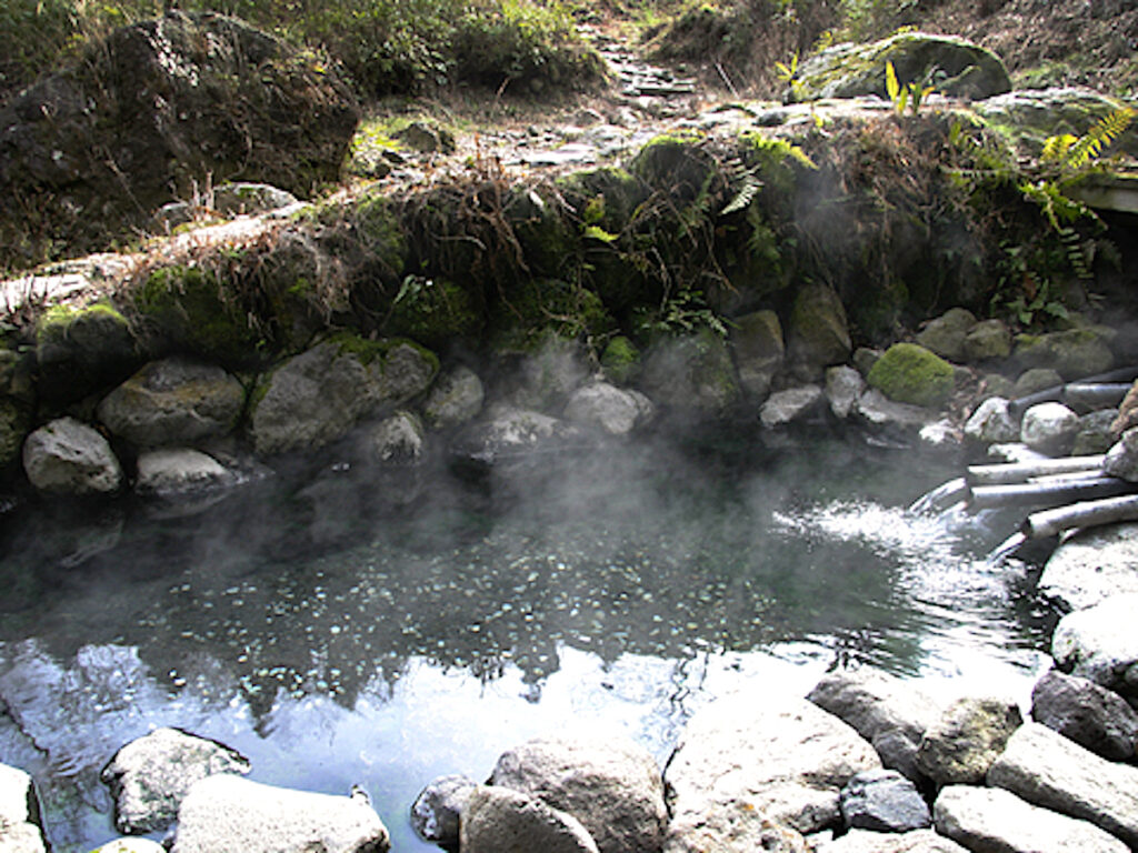 ヘビん湯