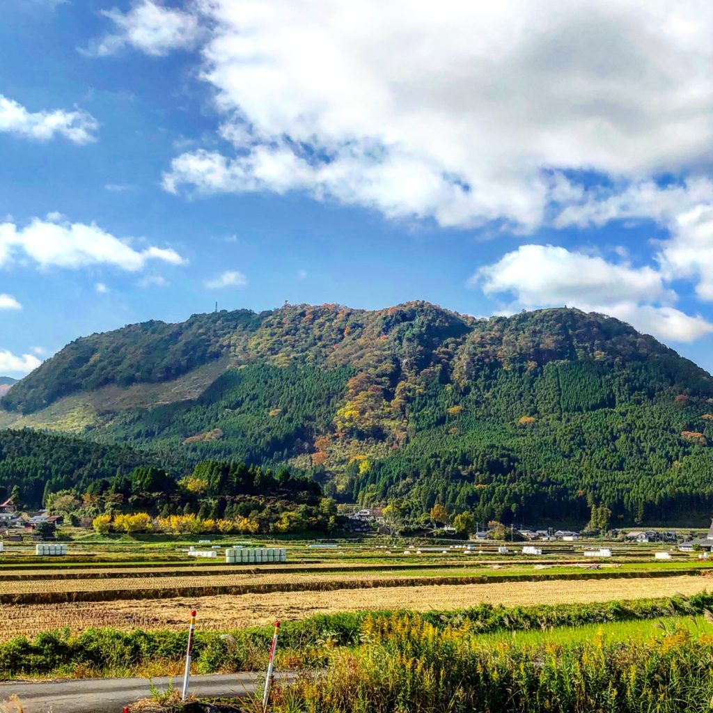 伐株山（玖珠城跡）
