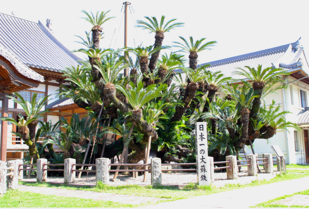 松屋寺