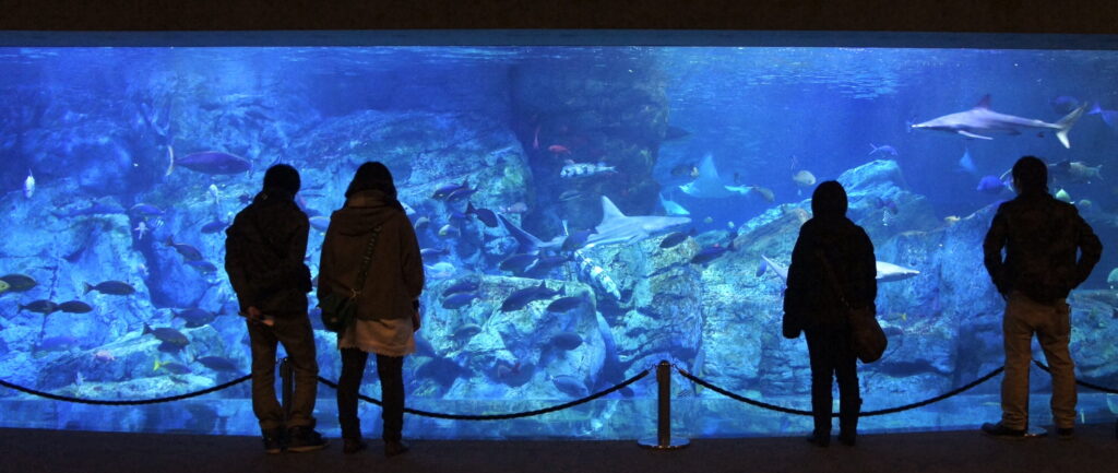 大分マリーンパレス水族館「うみたまご」