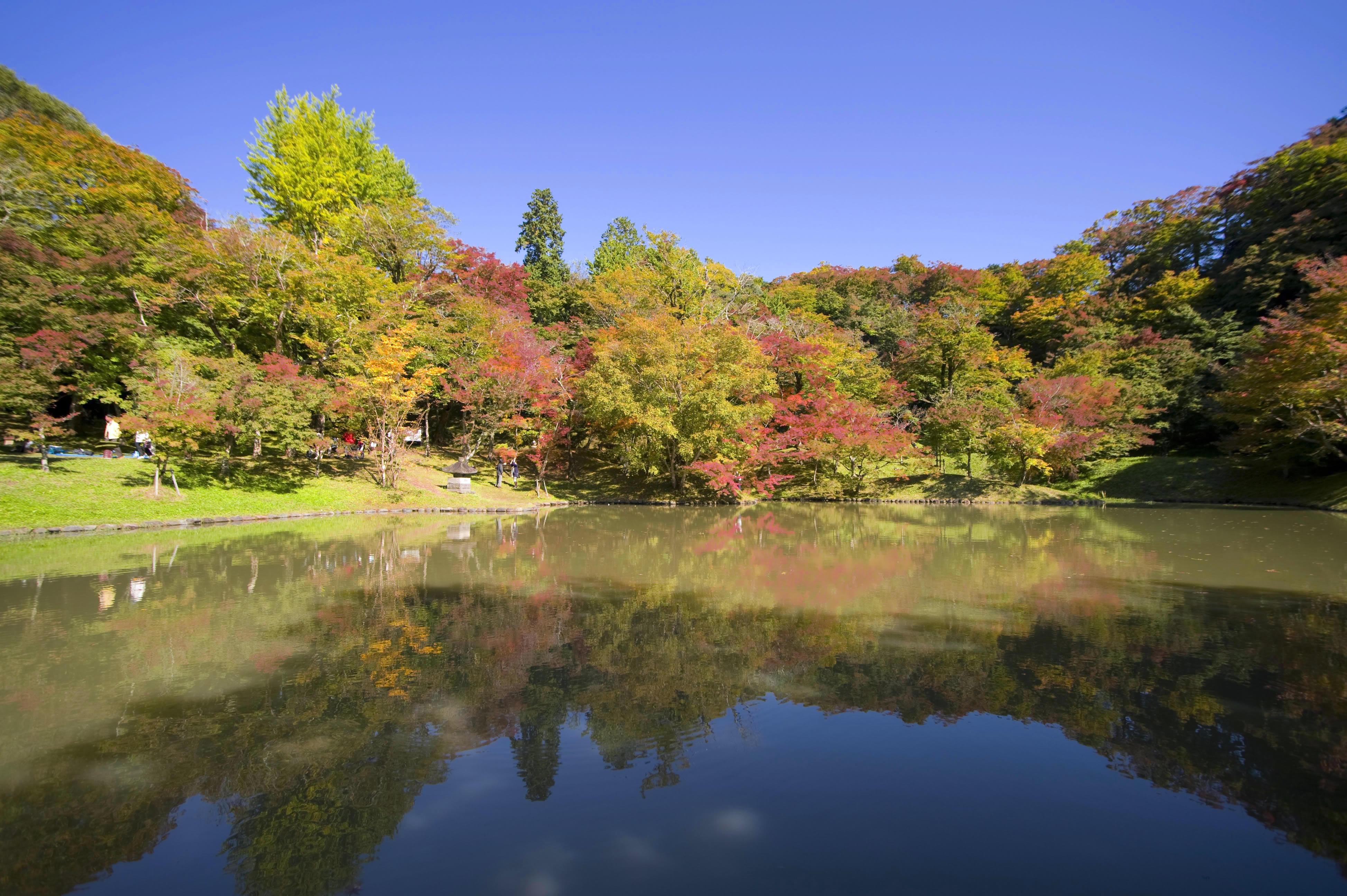 用作公園