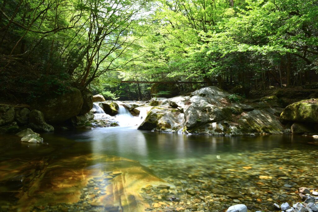 川上渓谷