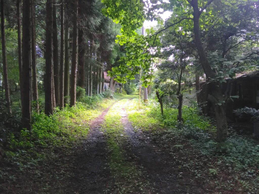 国鉄宮原線・麻生釣駅跡
