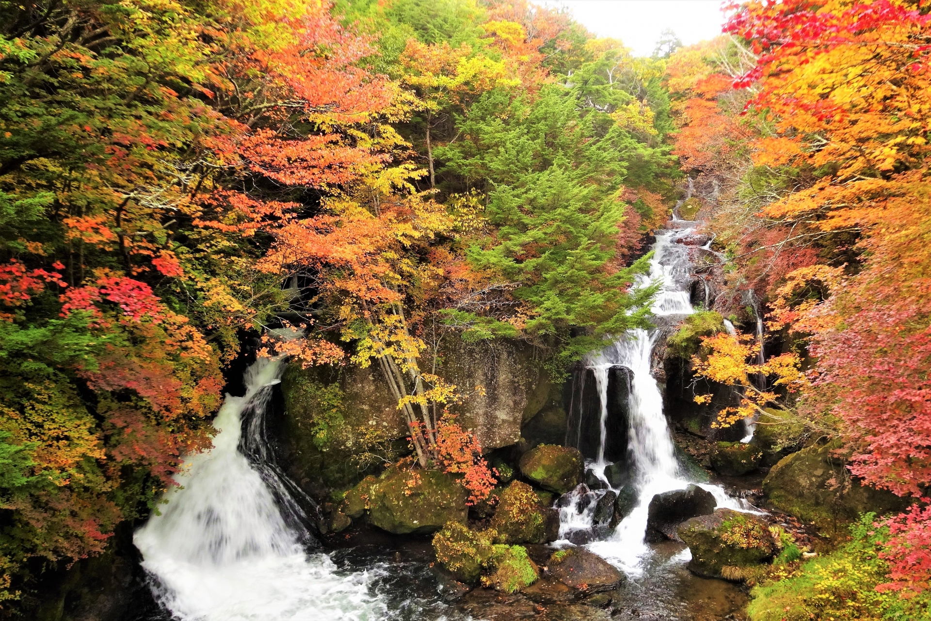 竜頭の滝・紅葉