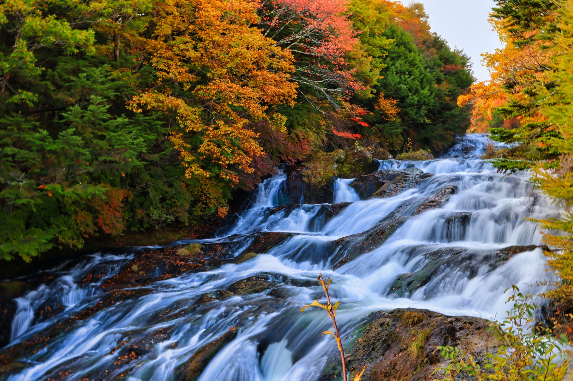 竜頭の滝・紅葉