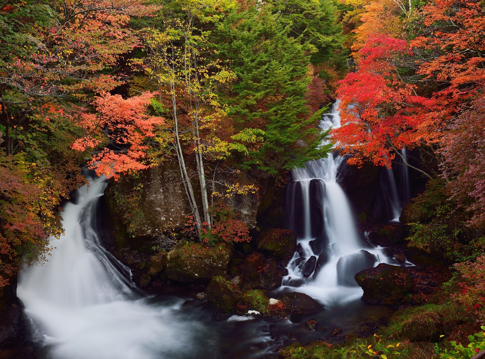 竜頭の滝・紅葉