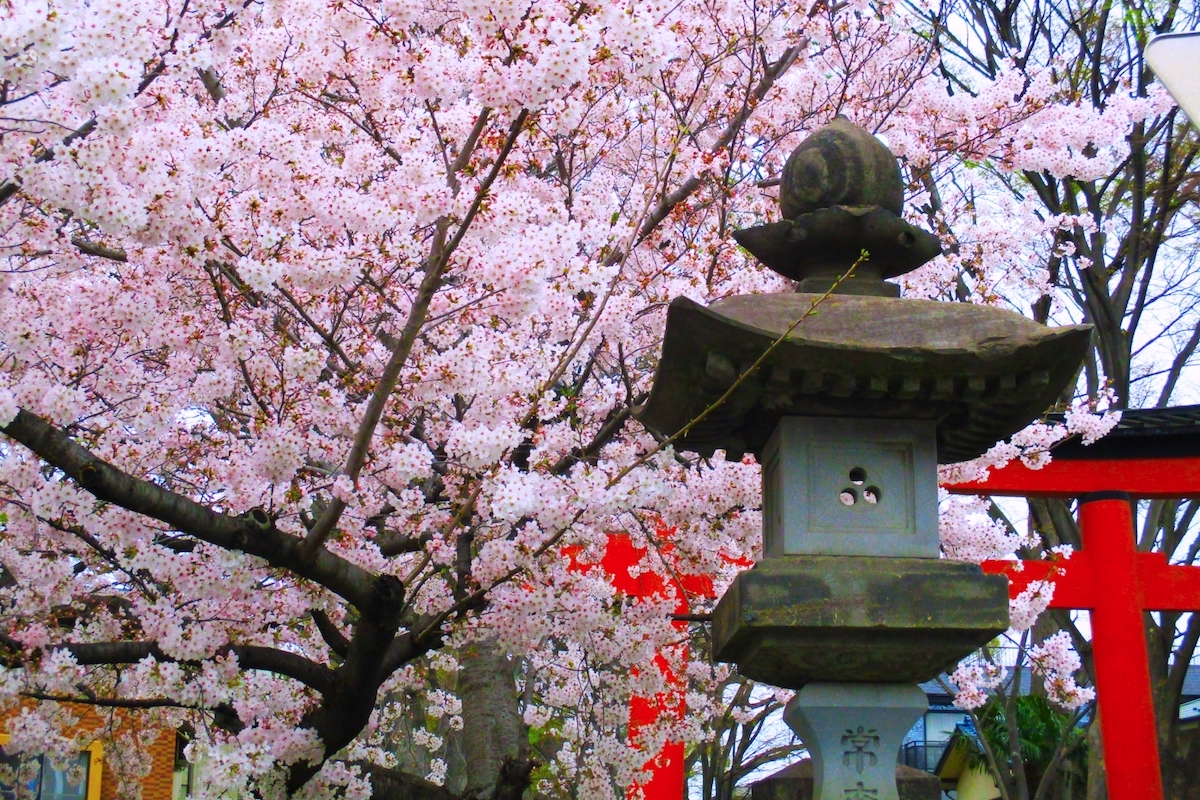 大宮氷川神社
