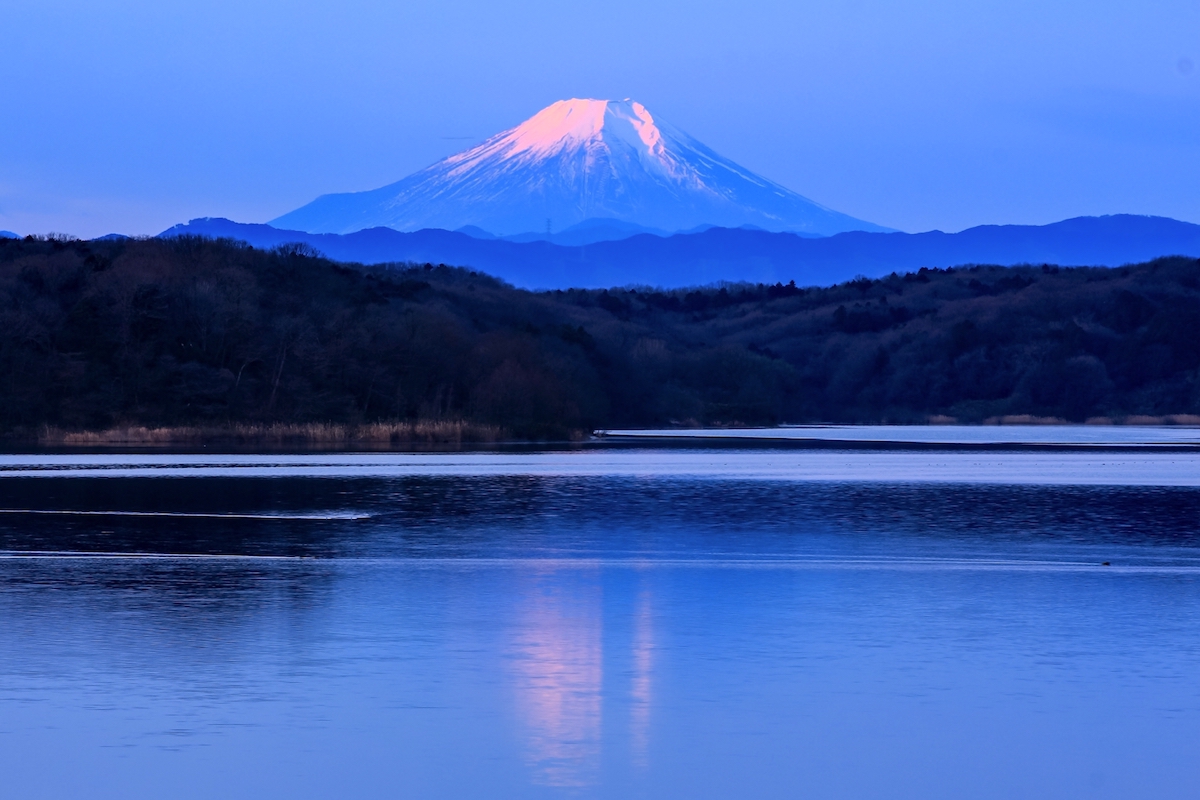 山口貯水池(狭山湖)