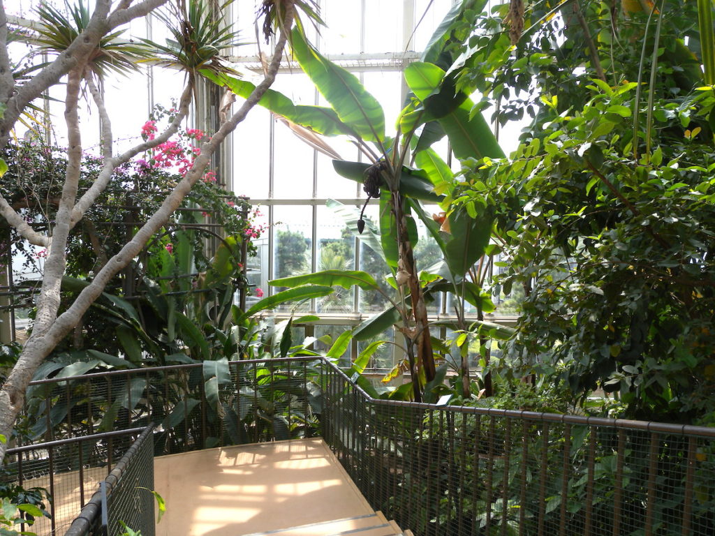 川口市立グリーンセンター