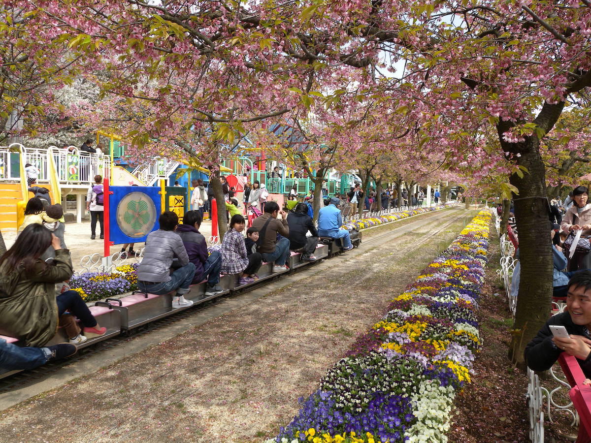 川口市立グリーンセンター