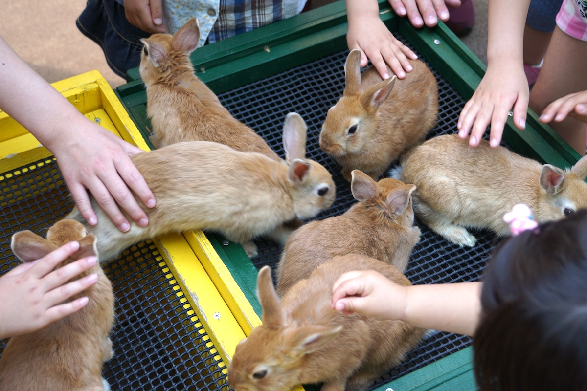 埼玉県こども動物自然公園