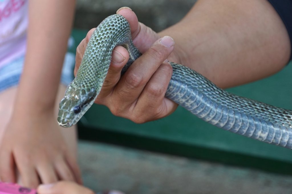 埼玉県こども動物自然公園