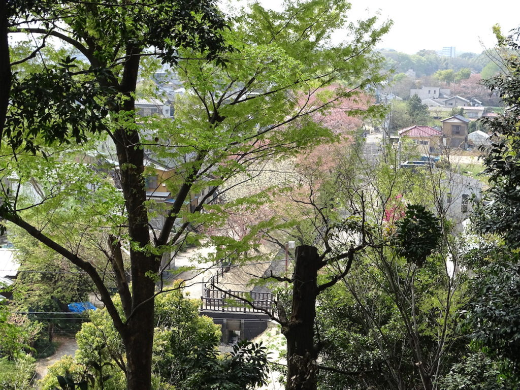 木曽呂の富士塚