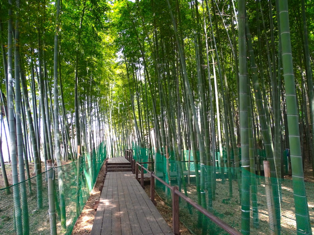 見沼通船堀公園