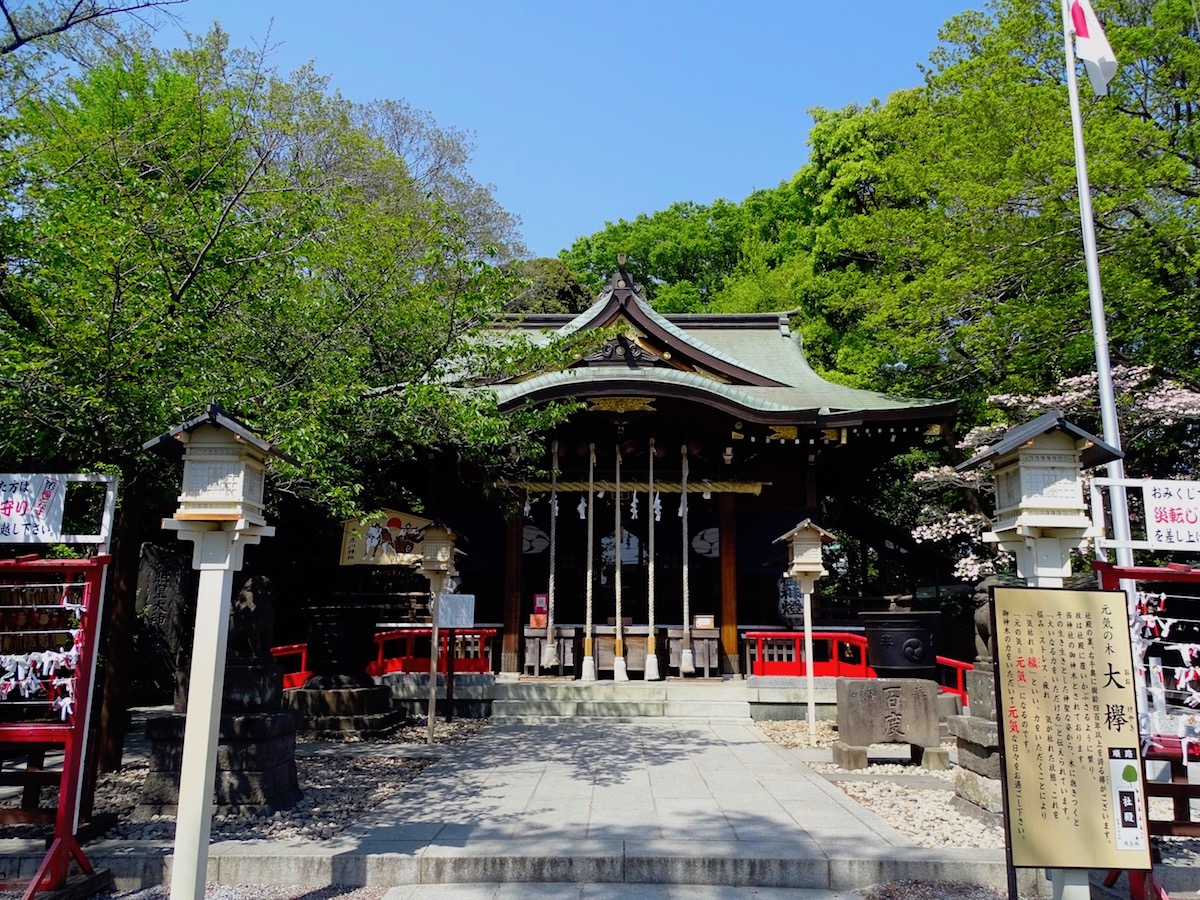 鎮守氷川神社(富士塚)