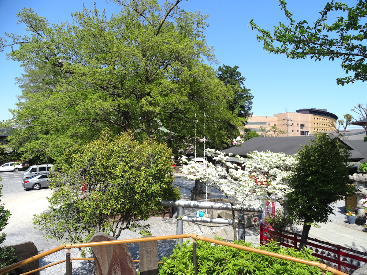 鎮守氷川神社(富士塚)