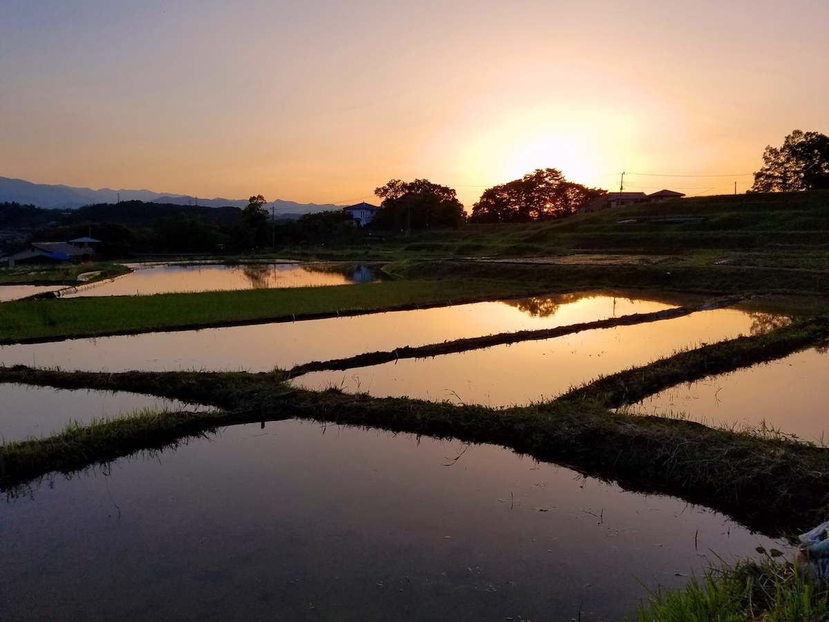 寺坂棚田
