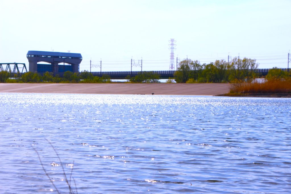 彩湖（荒川調節池）