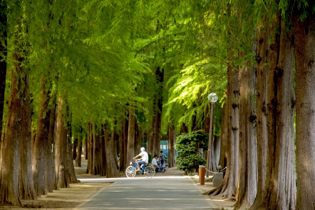 別所沼公園