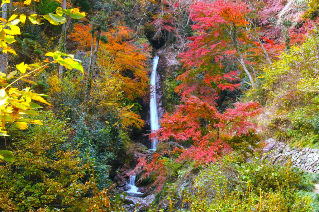 秩父華厳の滝