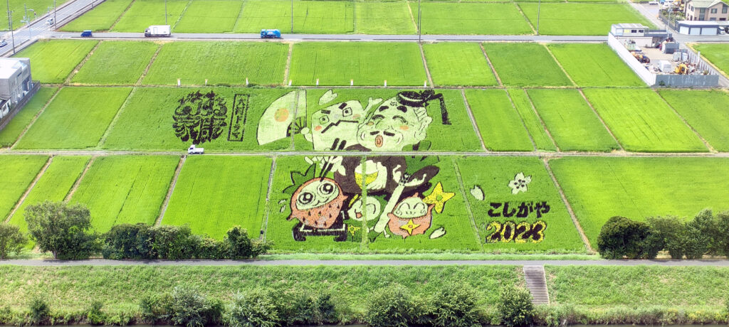 越谷田んぼアート