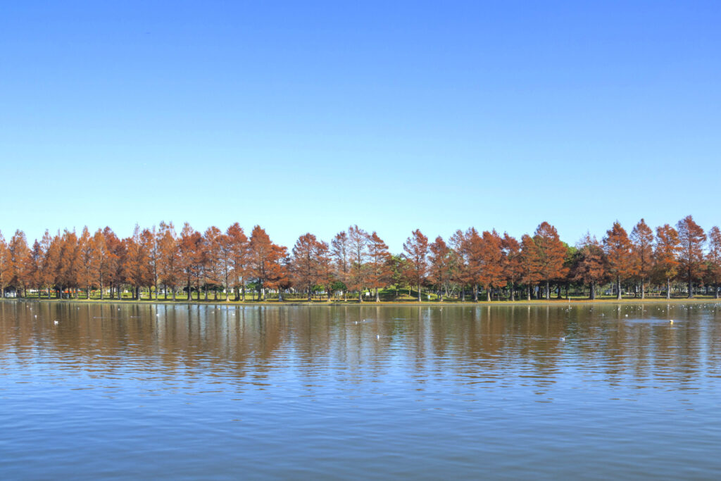 みさと公園