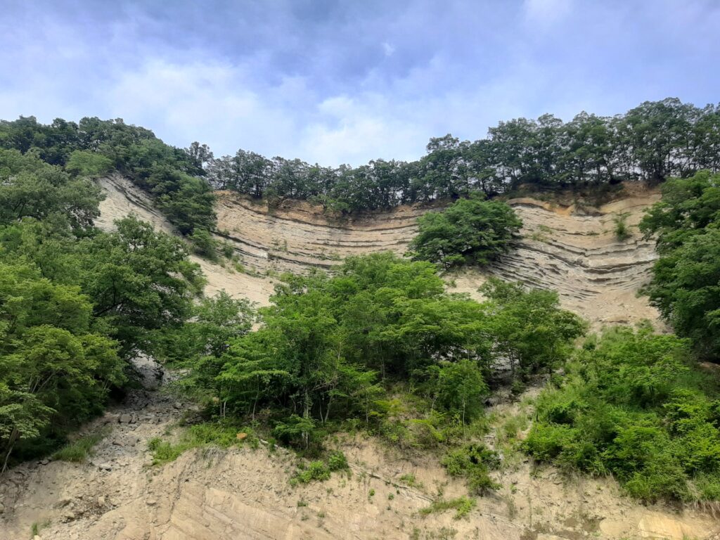 ようばけ