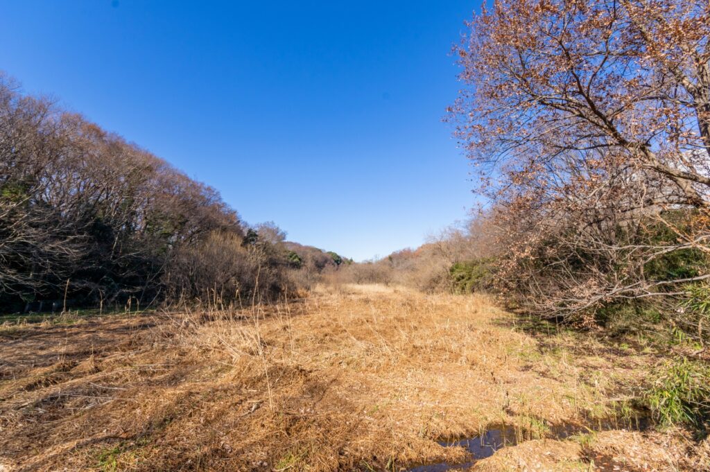 北本自然観察公園