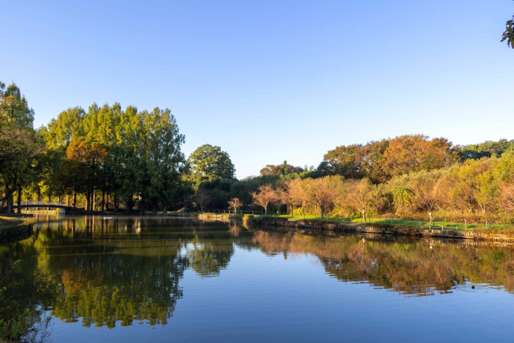 上尾丸山公園