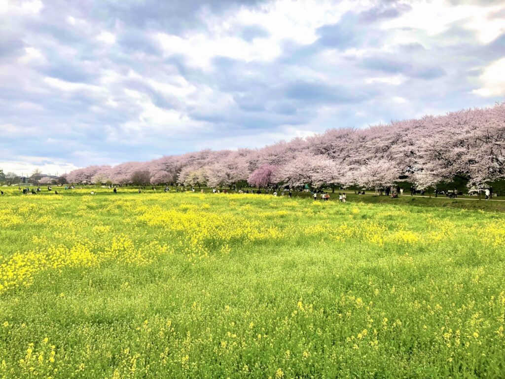 権現堂公園