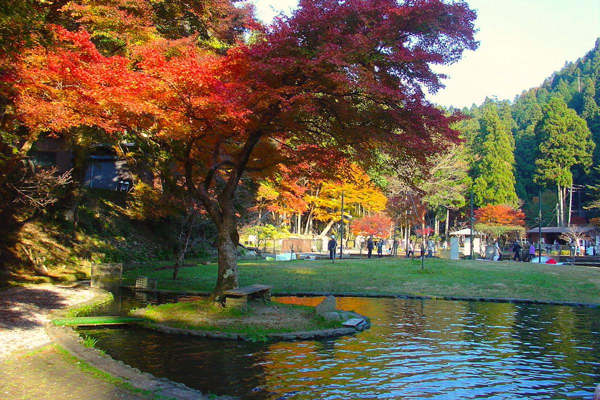 醒井養鱒場