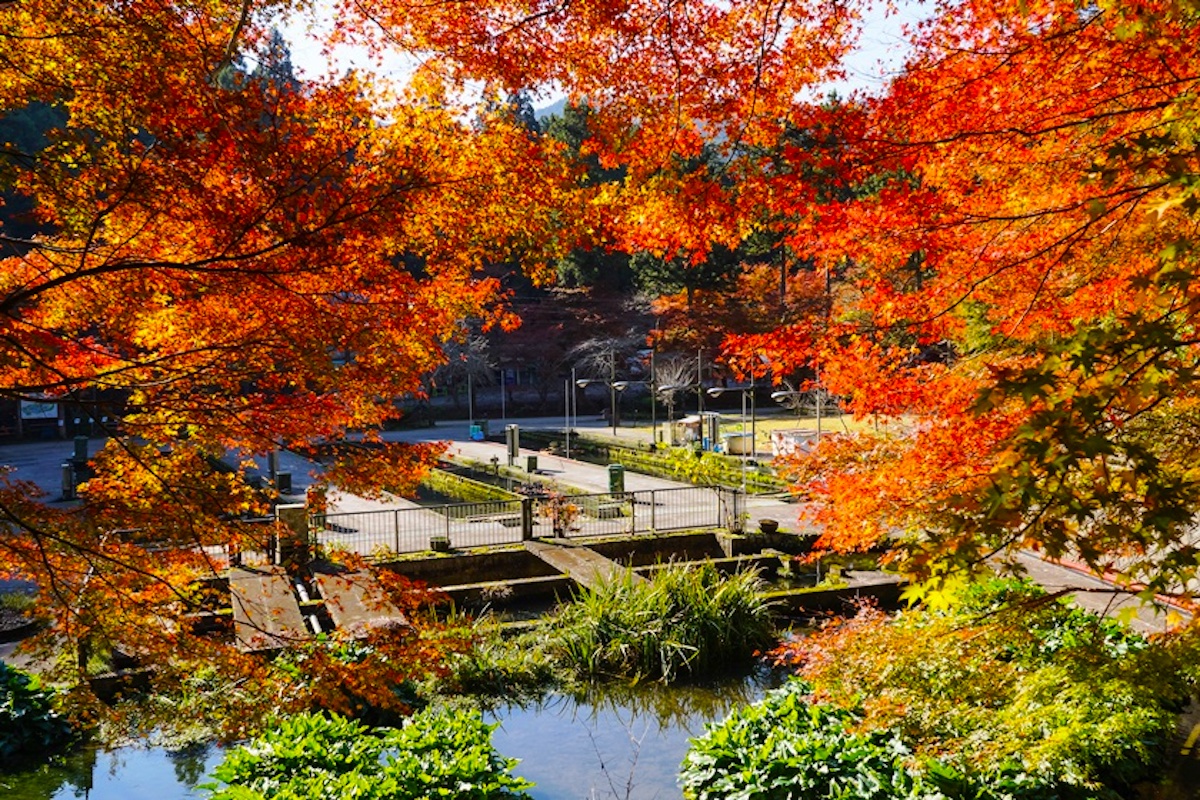 醒井養鱒場