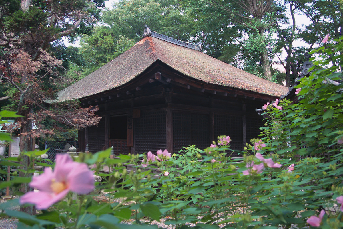 舎那院
