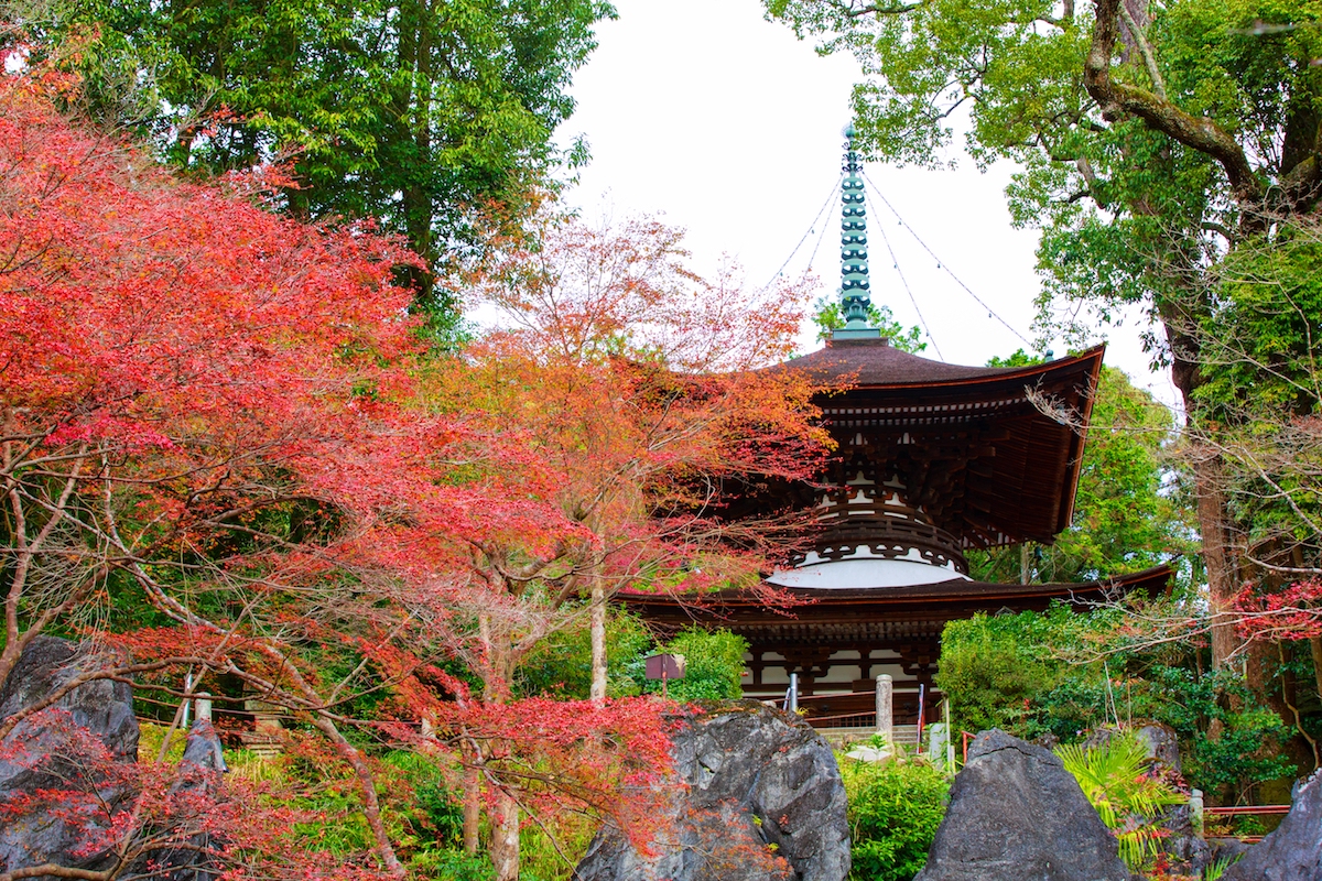 石山寺・多宝塔
