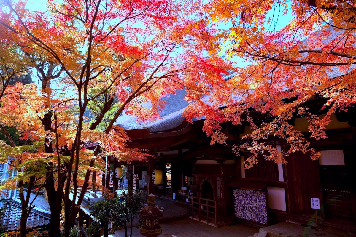 石山寺・本堂