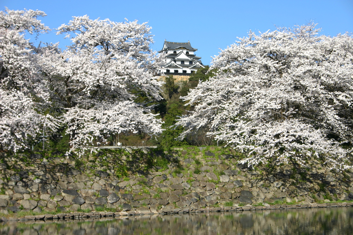彦根城