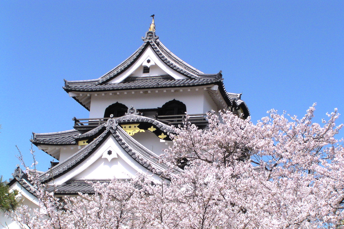 彦根城・天守