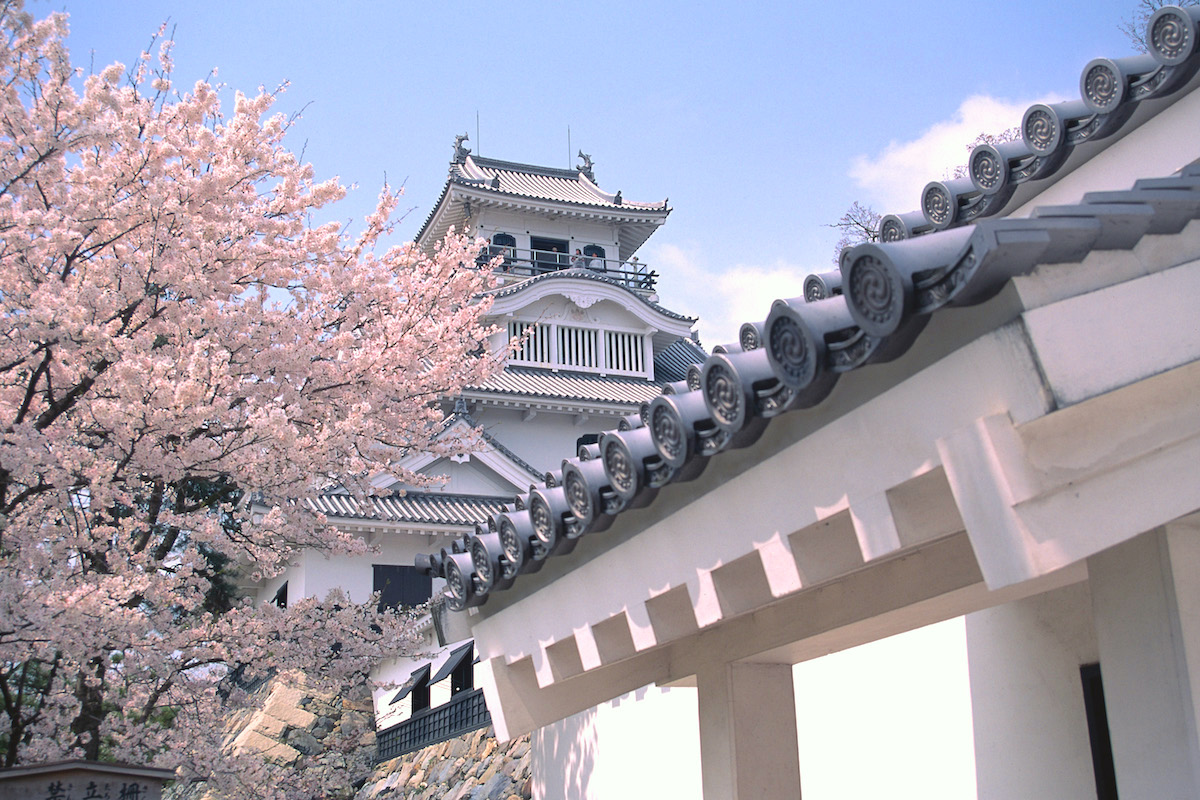 長浜城歴史博物館