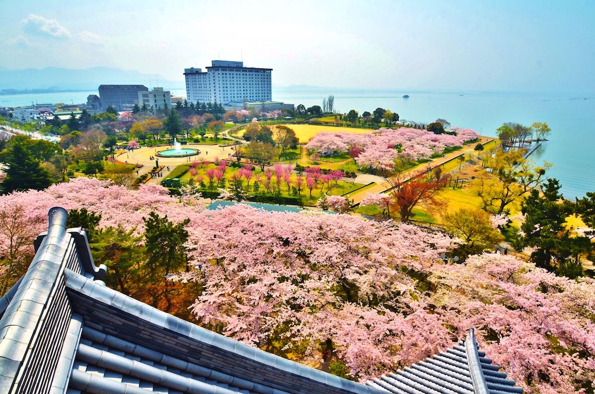 長浜城歴史博物館
