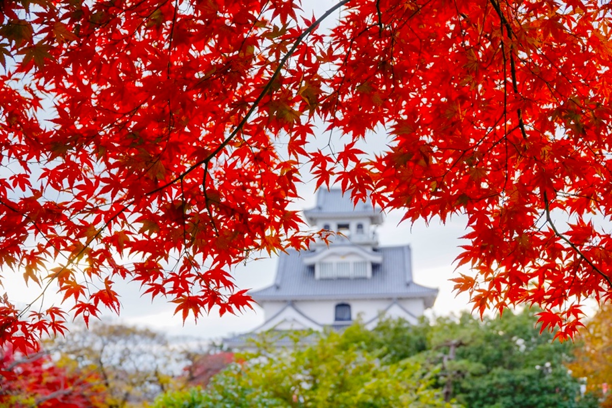 豊公園（長浜城跡）